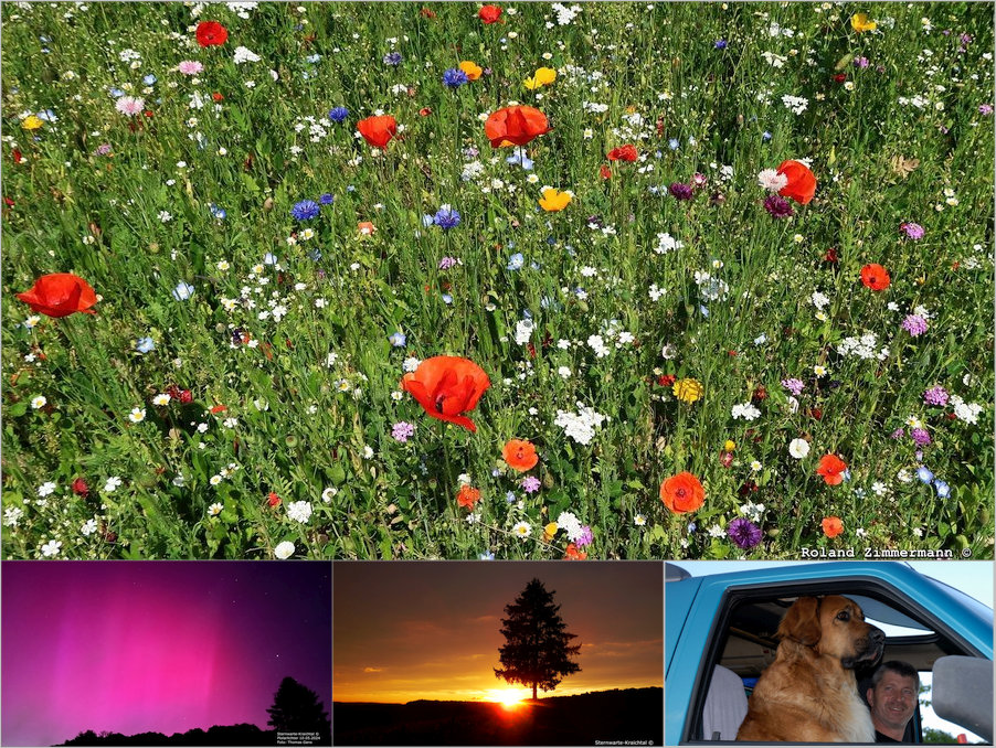 Fotogalerie Fotogalerie